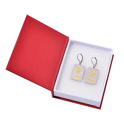 Bible Book Earrings in ION Plated YG and Stainless Steel