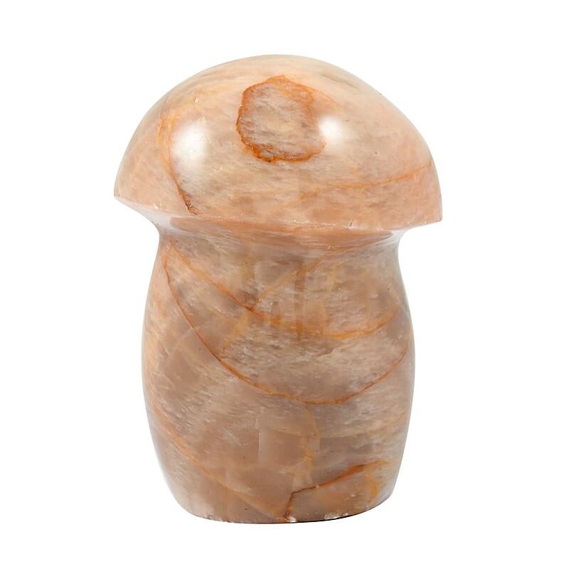 Peach Moonstone Mushroom -S 460.5ctw