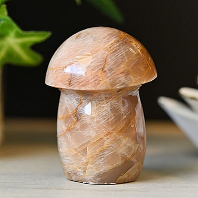 Peach Moonstone Mushroom -S 460.5ctw