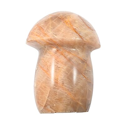 Peach Moonstone Mushroom -S 460.5ctw
