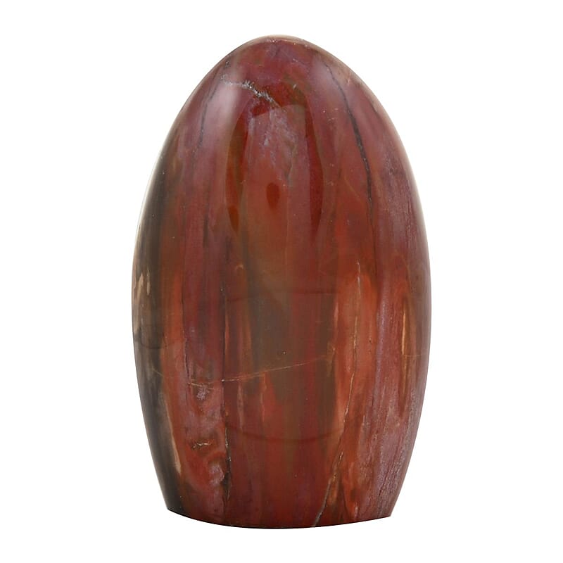 Petrified Wood Free Form -S 1823.5ctw