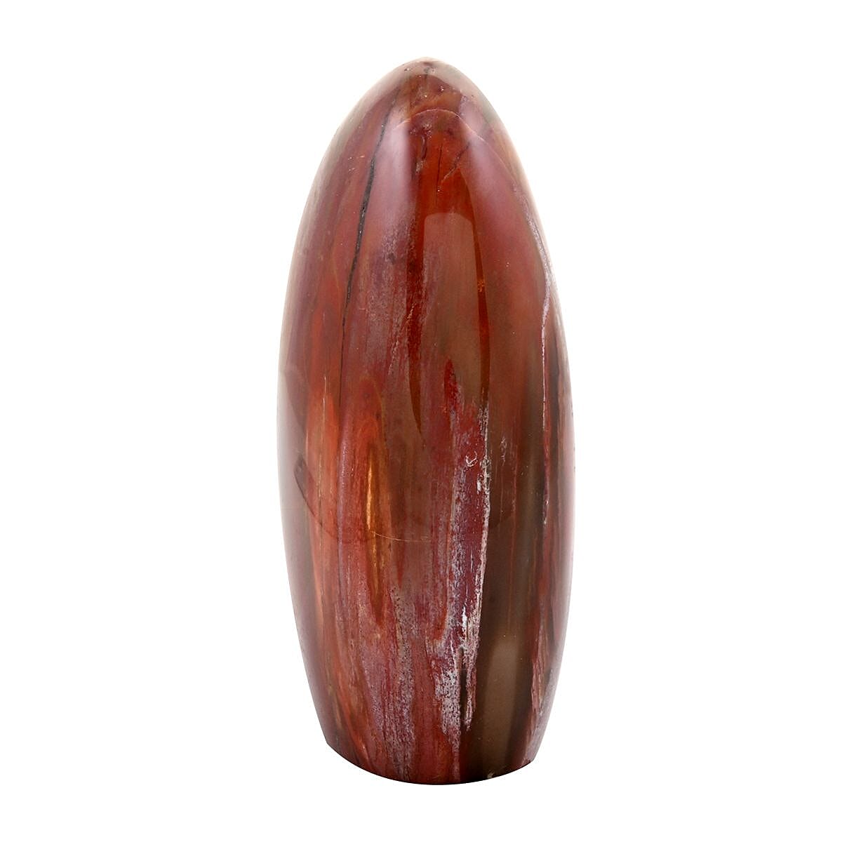 Petrified Wood Free Form -S 1823.5ctw