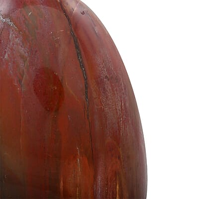 Petrified Wood Free Form -S 1823.5ctw
