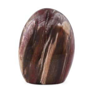 Petrified Wood Free Form -M 2679.55ctw