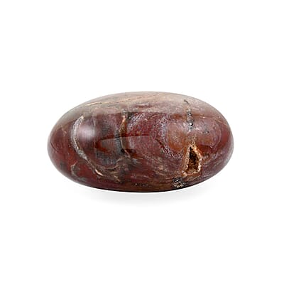 Petrified Wood Palm Stone -M 349.5ctw