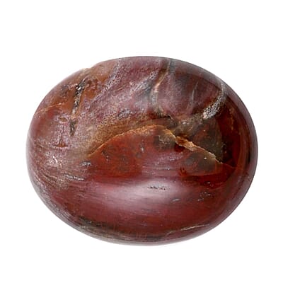 Petrified Wood Palm Stone -M 349.5ctw
