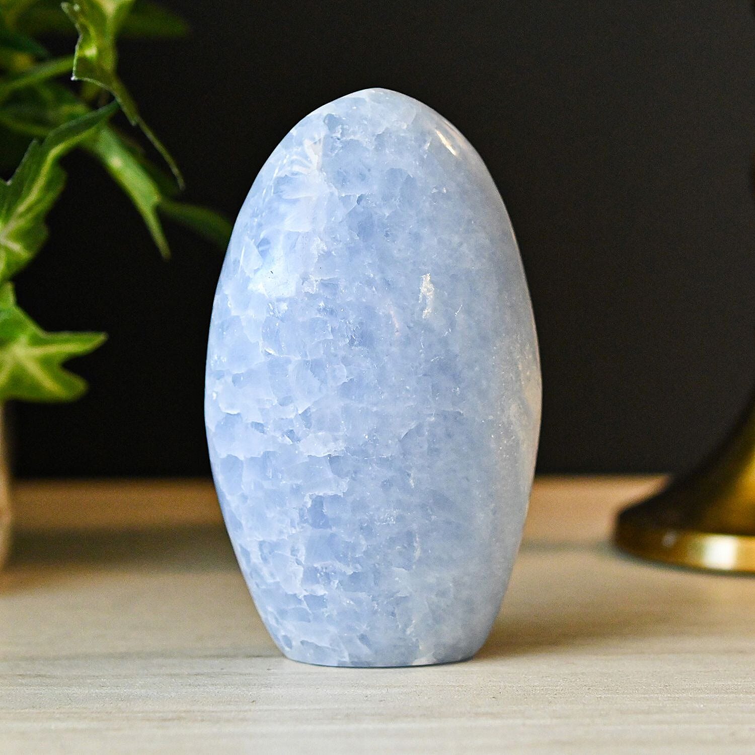 XS - Product card gallery slide 2 (10145537818907)