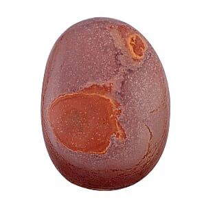 Jasper Palm Stone -M 453ctw