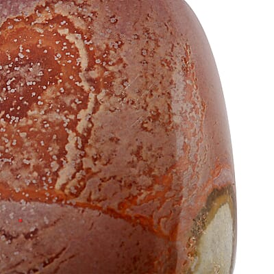 Jasper Palm Stone -M 453ctw