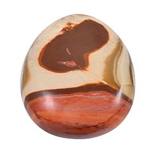 Jasper Palm Stone -L 572.5ctw