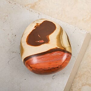 Jasper Palm Stone -L 572.5ctw