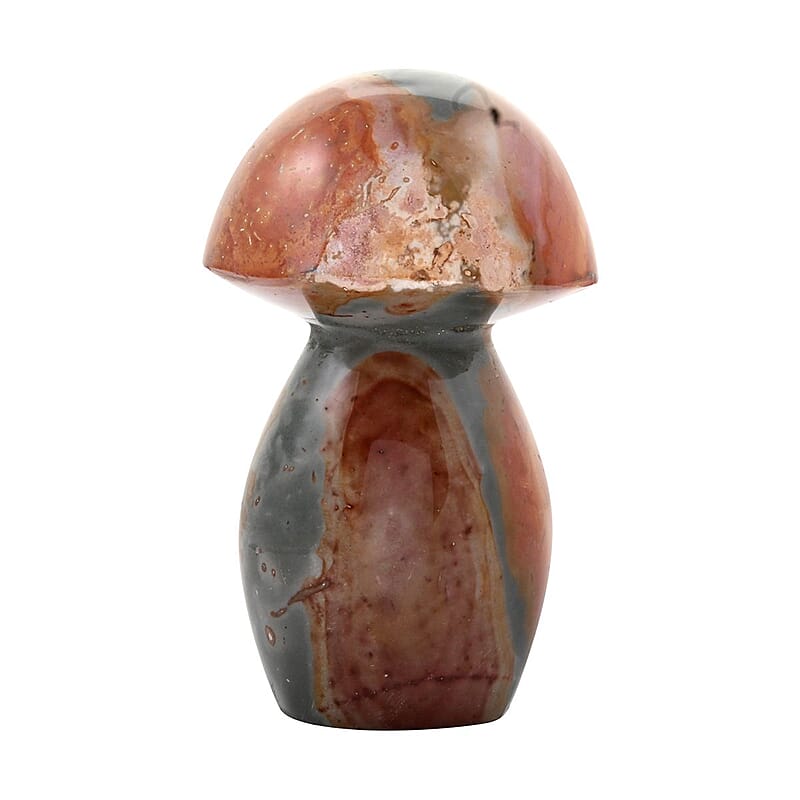Jasper Mushroom -S 595.5ctw