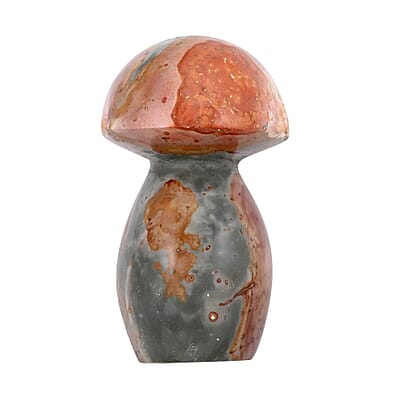 Jasper Mushroom -S 595.5ctw