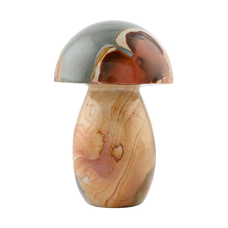 Jasper Mushroom -L 1208ctw