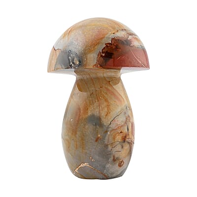 Jasper Mushroom -L 1208ctw