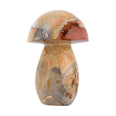 Jasper Mushroom -L 1208ctw