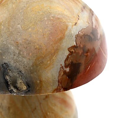 Jasper Mushroom -L 1208ctw