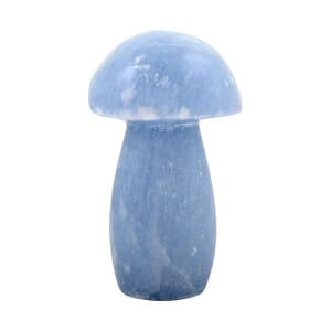 Blue Calcite Mushroom -S  998ctw