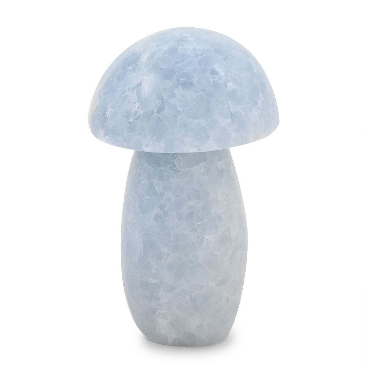 Blue Calcite Mushroom -S