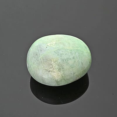 Garnierite Palm Stone -S 223ctw