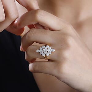 Karis Diamond Accent Ring in 18K YG Plated (Size 10.0)