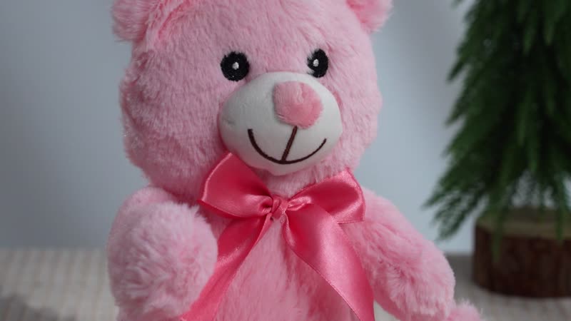 Set of 3 Pink Stuffed Teddy Bear (6,7,9)