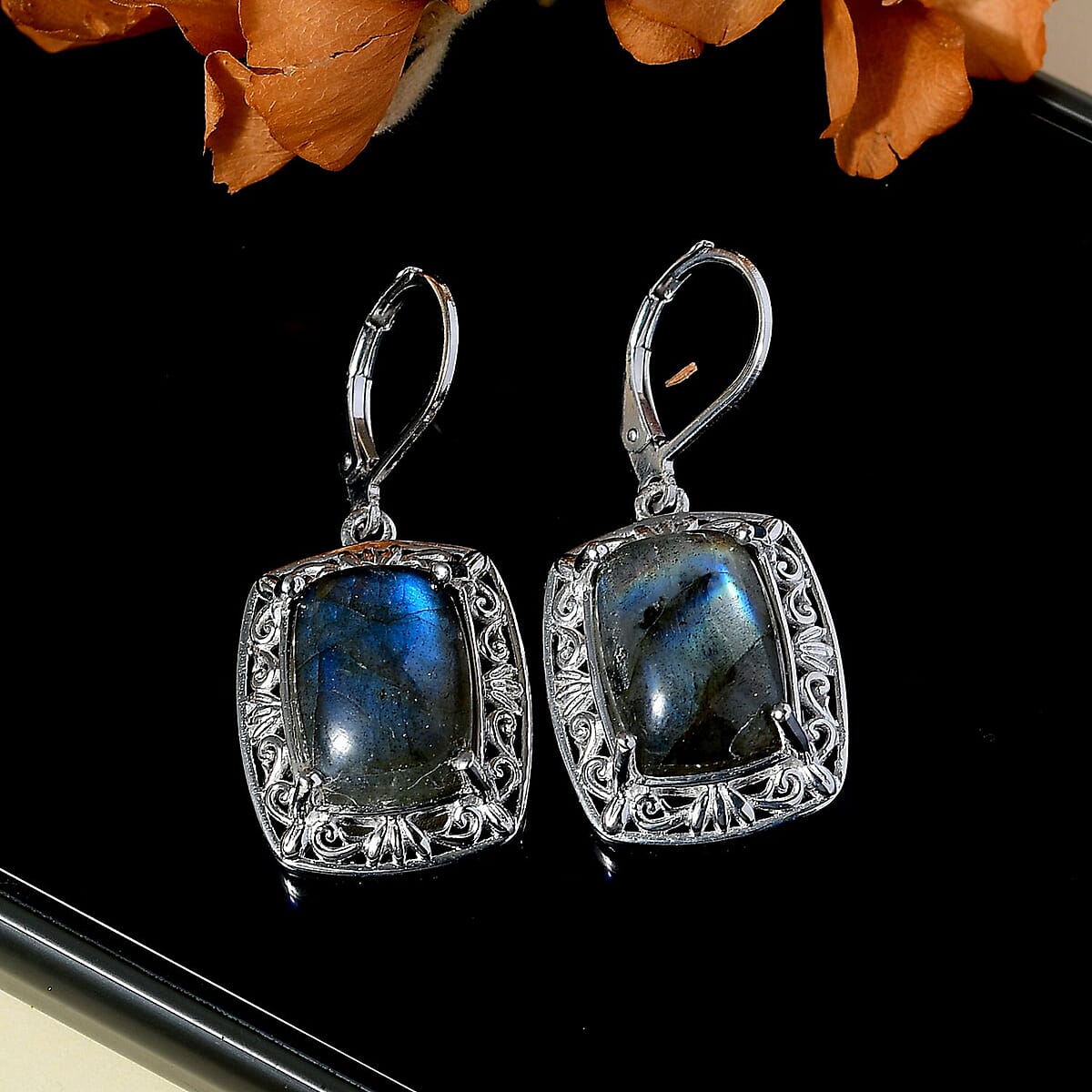 EverTrue Malagasy Labradorite 13.60 ctw Solitaire Lever Back Earrings in Platinum Over Copper with Magnet image number 2
