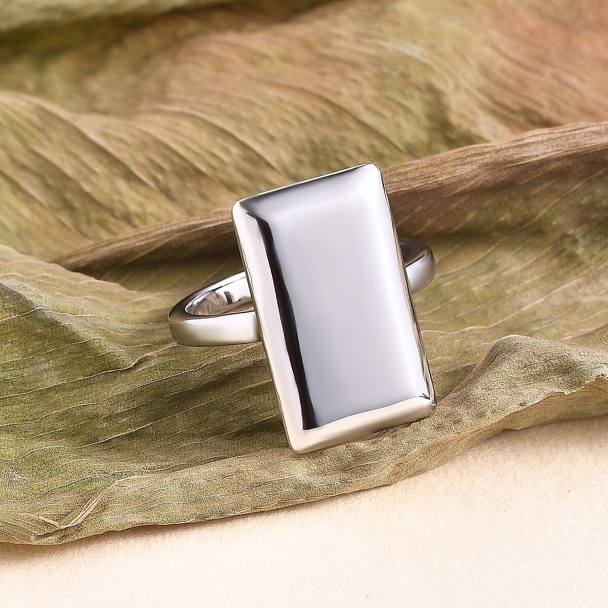 Bar Ring in Stainless Steel (Size 9.0) image number 1