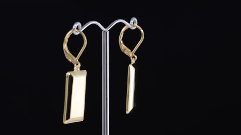Lever Back Earrings in 18K YG Plated Stainless Steel