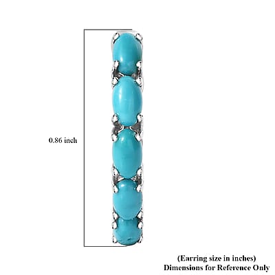 D'Joy Sleeping Beauty Turquoise 1.90 ctw Fish Hoop Earrings in Rhodium Over Sterling Silver