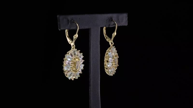 Brazilian Heliodor and Multi Beryl Family 7.15 ctw Sunlit Blossom Earrings in 18K Vermeil Yellow Gold Over Sterling Silver