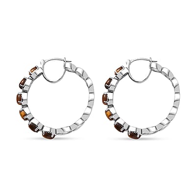 Karis Tigers Eye 6.80 ctw Earrings in Platinum Bond