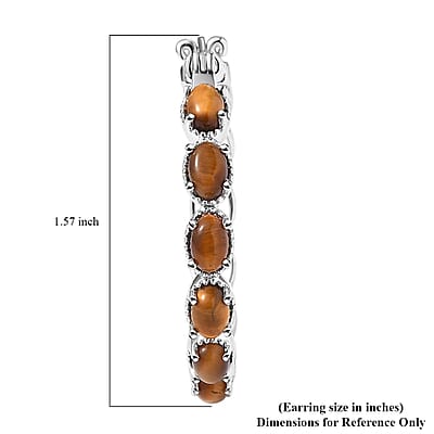 Karis Tigers Eye 6.80 ctw Earrings in Platinum Bond