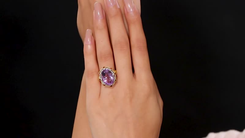 Doorbuster Karis Rose De France Amethyst, Mozambique Garnet Ring in 18K YG Plated and Platinum Bond (Size 7.0) 12.40 ctw