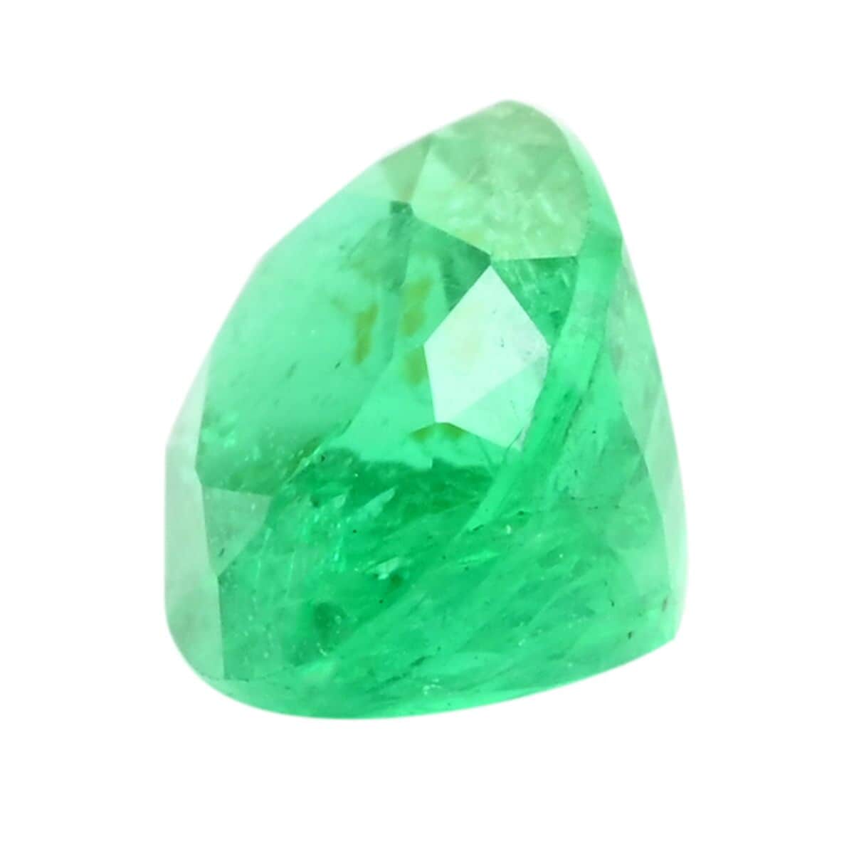 Premium Kagem Zambian Emerald (Ovl Free Size) 1.00 ctw image number 1