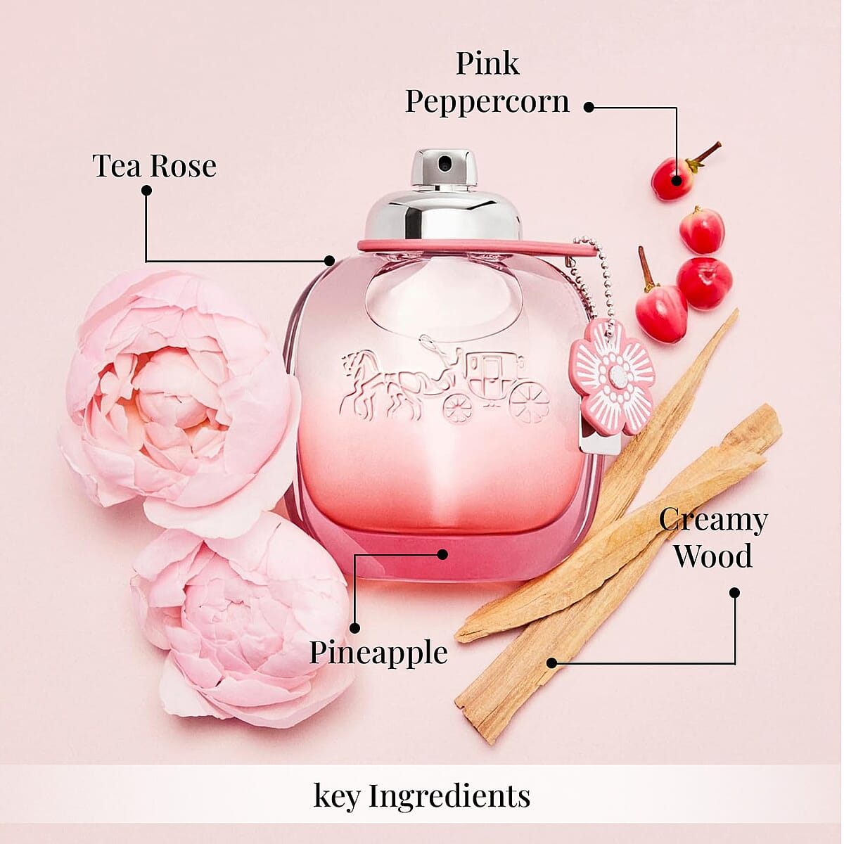 Coach Floral Blush EDP Spray (1.7 Oz) image number 3