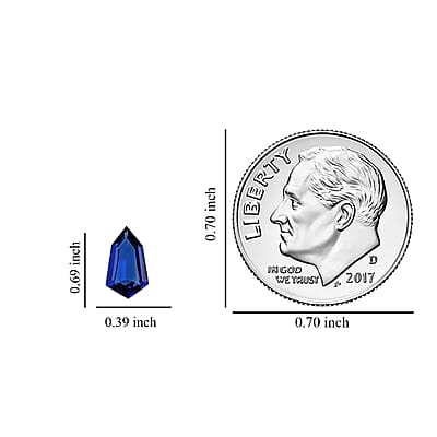 Certified & Appraised AAAA Tanzanite Set of 2 (Fancy 17.6X10.1 mm) 10.40 ctw