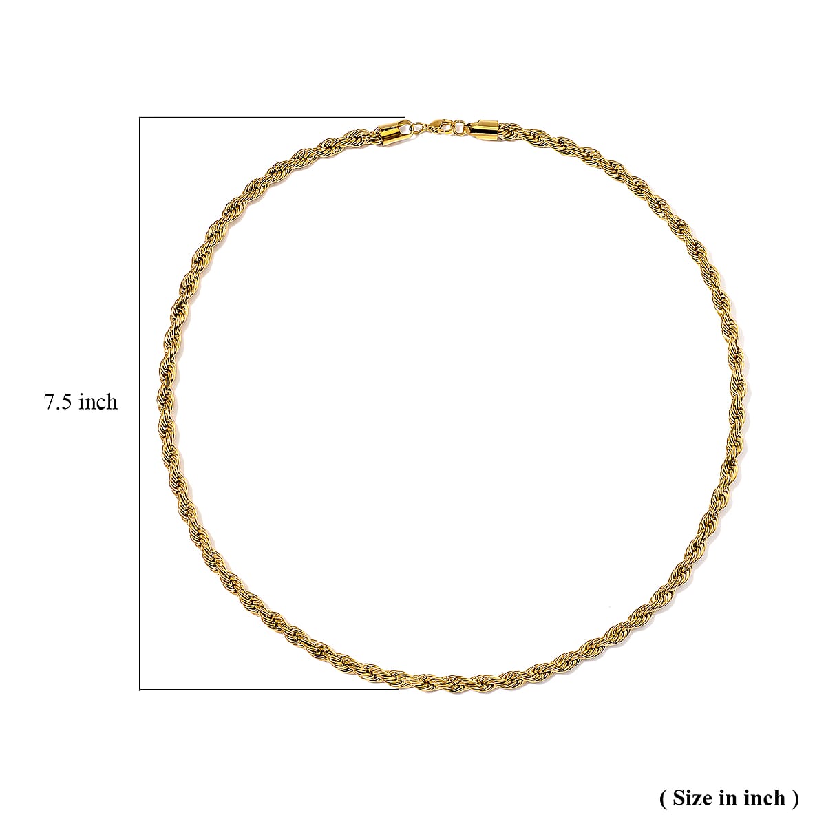 Rope Chain Necklace in ION Plated YG Stainless Steel 24 Inches image number 4