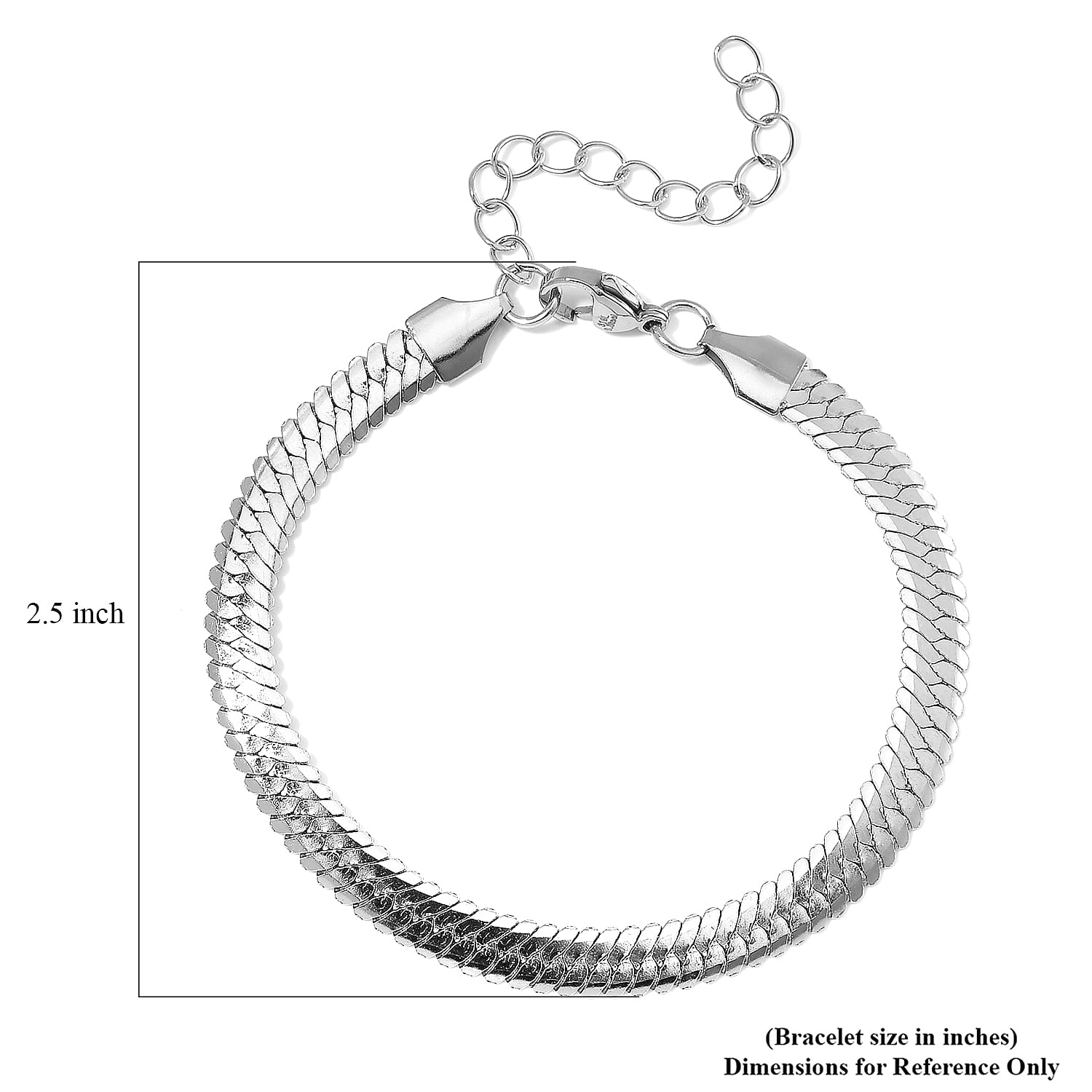 Snake Chain Bracelet in Stainless Steel (7-9In)