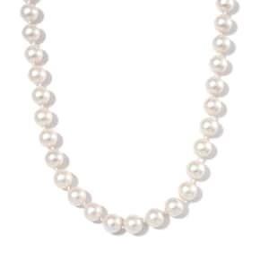 White Shell Pearl 11-13mm Necklace 20 Inches in Stainless Steel