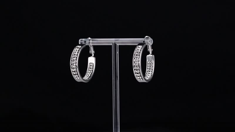 Multi Color Austrian Crystal Earrings in Stainless Steel