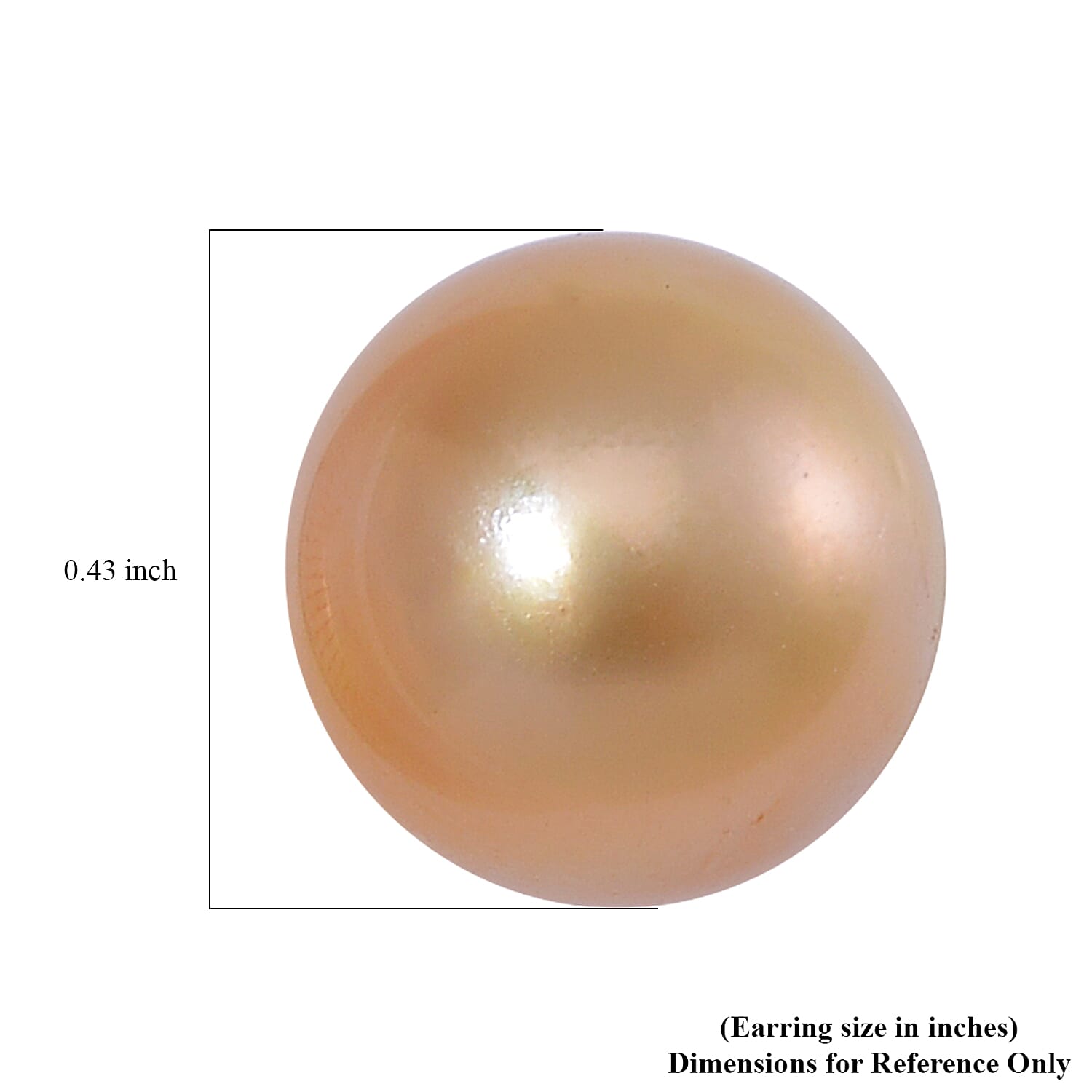 Luxoro South Sea Golden Cultured Pearl Stud Earrings in 14K Yellow Gold