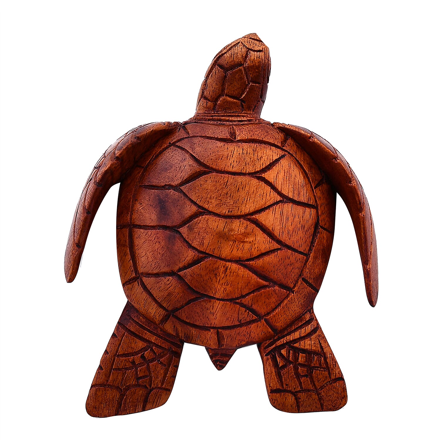 Honey Brown Wooden Hand Carved Turtle