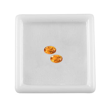 Default Title - Product card gallery slide 4 (10177690632505)