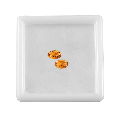 Default Title - Product card gallery slide 4 (10177690632505)