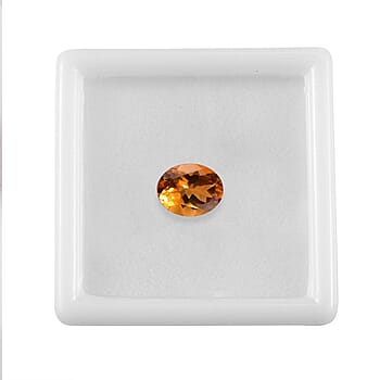 Default Title - Product card gallery slide 4 (10177690927417)
