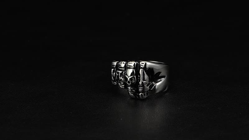 Skull Sentinel Ring in Stainless Steel (Size 10.0)