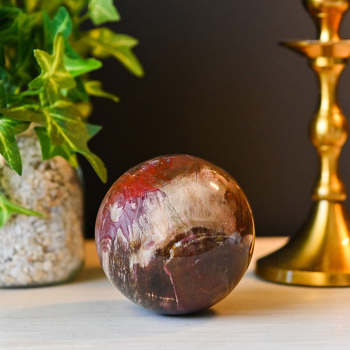 Petrified Wood Sphere 5-8cm -XL 3429ctw image number 1