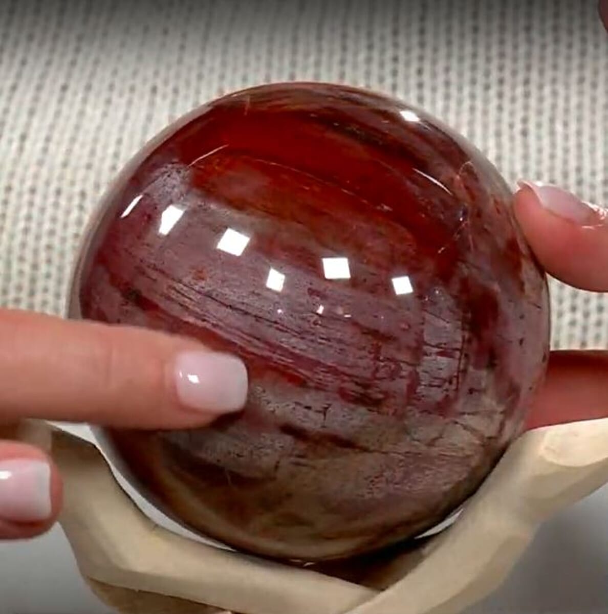 Petrified Wood Sphere 5-8cm -XL 3429ctw image number 3