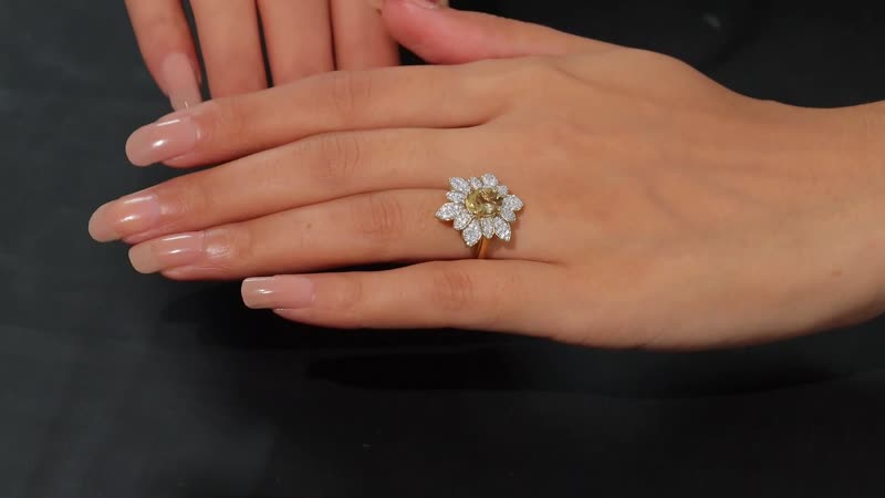 Brazilian Heliodor, Moissanite Ring in 18K Vermeil YG Over Sterling Silver (Size 10.0) 2.50 ctw